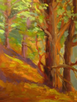 Autumn Trees