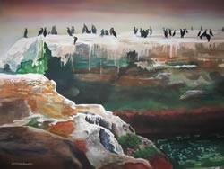 Cormorants