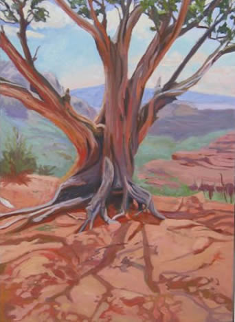 Arizona Oak