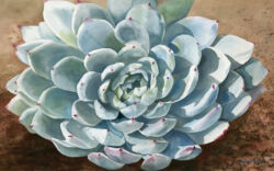 Blue Rosette. Original Watercolor by Shirley Lehner-Rhoades