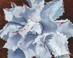 Blue Agave Original Watercolor by Shirley Lehner-Rhoades