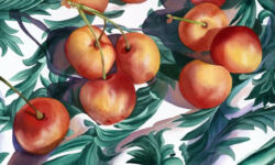 Ranier Cherries on Green Cloth. Original Watercolor by Shirley Lehner-Rhoades