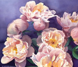 Pink Peonies Original Watercolor by Shirley Lehner-Rhoades