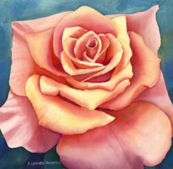 Coral Rose Original Watercolor by Shirley Lehner-Rhoades