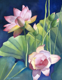 Lotus Blooms. Original Watercolor by Shirley Lehner-Rhoades