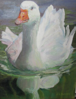 Swimming Goose. Original Oil Painting by Shirley Lehner-Rhoades.
