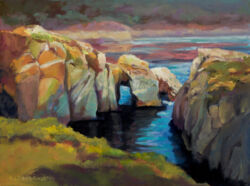 Point Lobos - Original oil painting by Shirley Lehner-Rhoades
