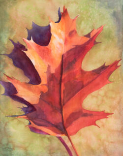 Original Watercolor Painting by Shirley Lehner-Rhoades.