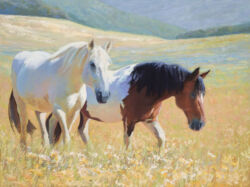 Oregon Meadow -
Valentina and Raffles - Rescued Mares living in Oregon Duchess Horse Sanctuary Oregon Meadow Valentina and Raffles - Rescued Mares living in Oregon Duchess Horse Sanctuary