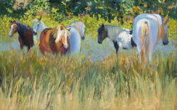 In the Shelter of the Trees - Oregon Duchess Horse Sanctuary Rescues In the Shelter of the Trees - Oregon Duchess Horse Sanctuary Rescues