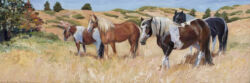 Princess Leia and Gang of Rescued Mares, now living in Oregon Princess Leia and Gang of Rescued Mares, now living in Oregon