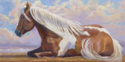 Cleopatra - Rescued working horse retired to Hawaii Original oil painting by Shirley Lehner-Rhoades 24" x 48" oil on canvas