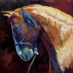 Ok Top Page - Rescued Race Horse