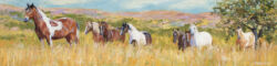 Original oil painting by Shirley Lehner-Rhoades 12" x 48" oil on canvas