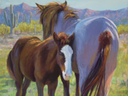 Wild Horses of the Arizona Desert - Original Oil Painting by Shirley Lehner-Rhoades 36"x48"